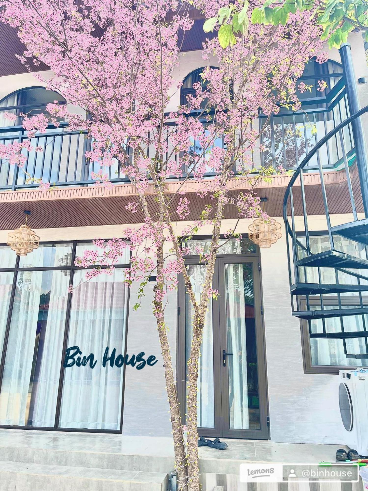 Bin House - Moc Chau Hotel Kültér fotó